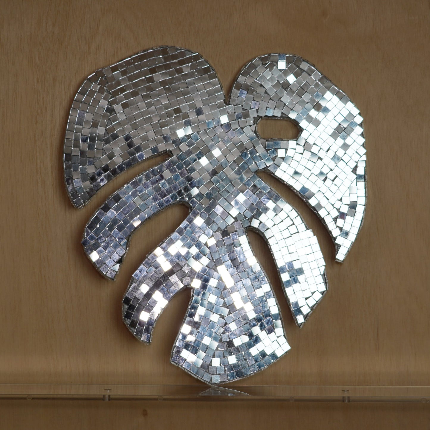 Disco Monstera Leaves