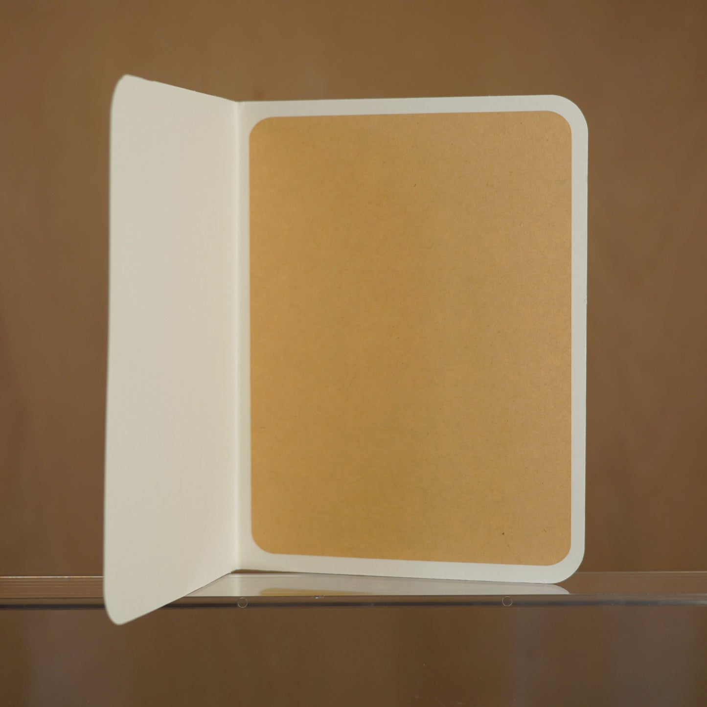 Bird's nest greeting card