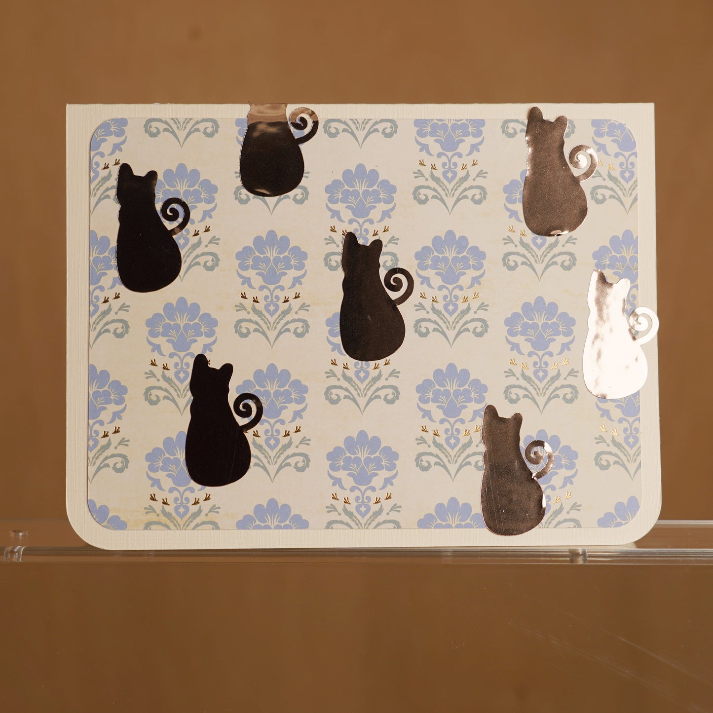 Kitty cat greeting card